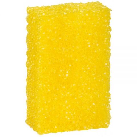 ESPONJA DE INSECTOS PERDER