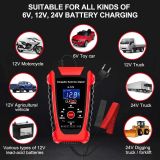 CARGADOR BATERIAS COCHE / MOTO 6V/12V RM CONNECT