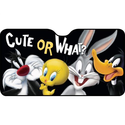 PARASOL FRONTAL LOONEY TUNES 130X70CM