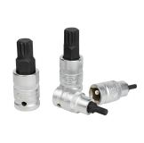 SET DE 12 PIEZAS DE 1/2