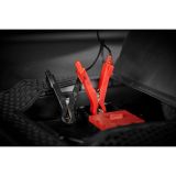 CARGADOR DE BATERÍA F1 6A